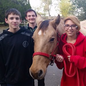 kids and horses